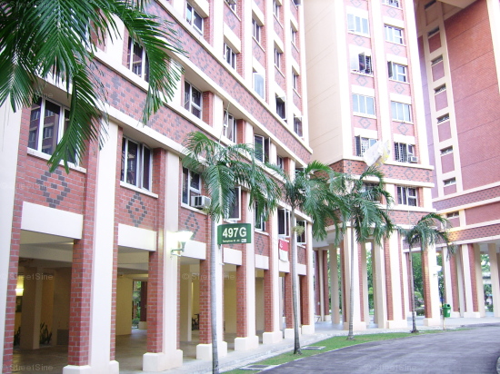Blk 497G Tampines Street 45 (Tampines), HDB 5 Rooms #103512